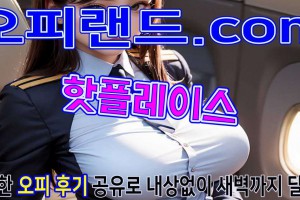 오피 - 서울 강남 |  핫플레이스