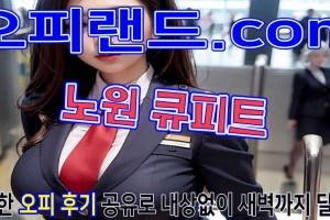 오피 - 서울 강남 |  노원 큐피트