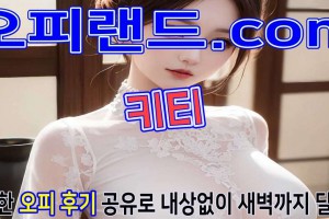 오피 - 서울 강남 |  키티