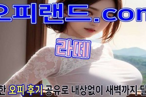 오피 - 서울 강남 |  라떼