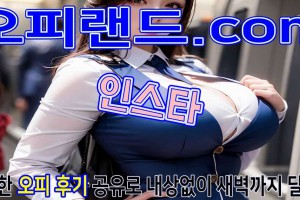 오피 - 서울 강남 |  인스타