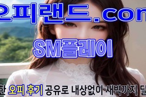 오피 - 서울 강남 |  SM플레이