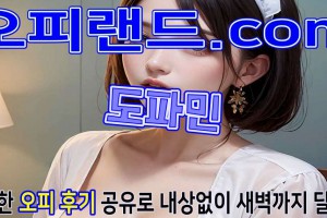 오피 - 서울 강남 |  도파민