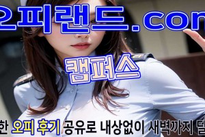 오피 - 서울 강남 |  캠퍼스