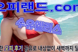 오피 - 서울 강남 |  수유엘리스