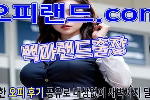 오피 - 서울 강남 |  백마랜드출장