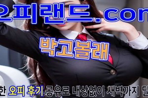 오피 - 서울 강남 |  박고볼래