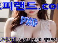 오피 - 서울 강남 |  PXG