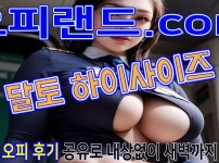 오피 - 서울 강남 |  달토 하이사이즈 신프로사장