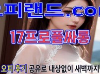 오피 - 서울 강남 |  17프로풀싸롱