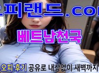 오피 - 서울 강남 |  베트남천국